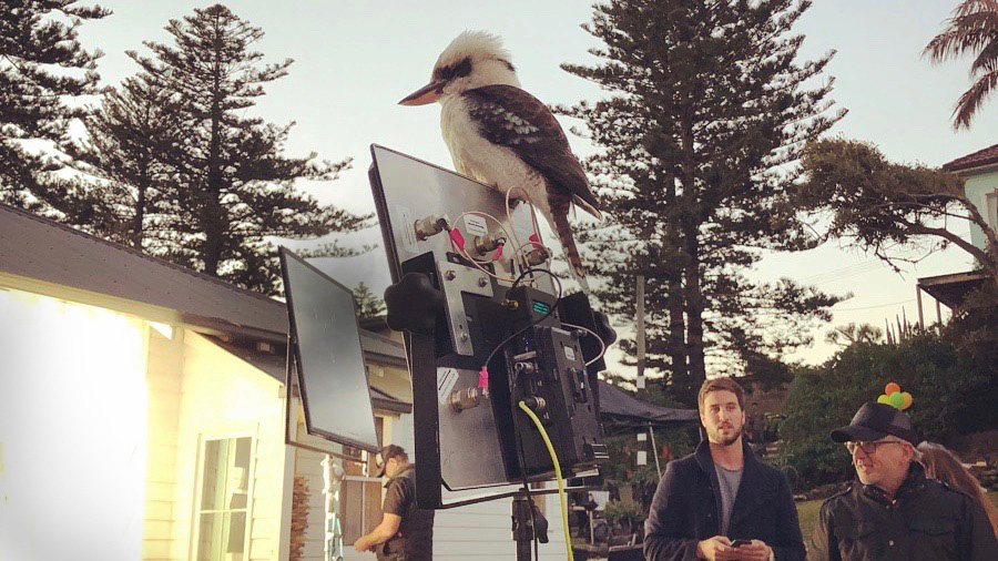 Sydney